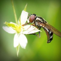 /album/geraldine-gomez-penuela/photolia-a02-jpg/