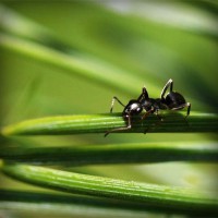 /album/geraldine-gomez-penuela/photolia-a05-jpg/